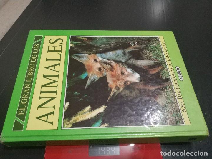 Libros de segunda mano: EL GRAN LIBRO DE LOS ANIMALES. SUSAETA - Foto 7