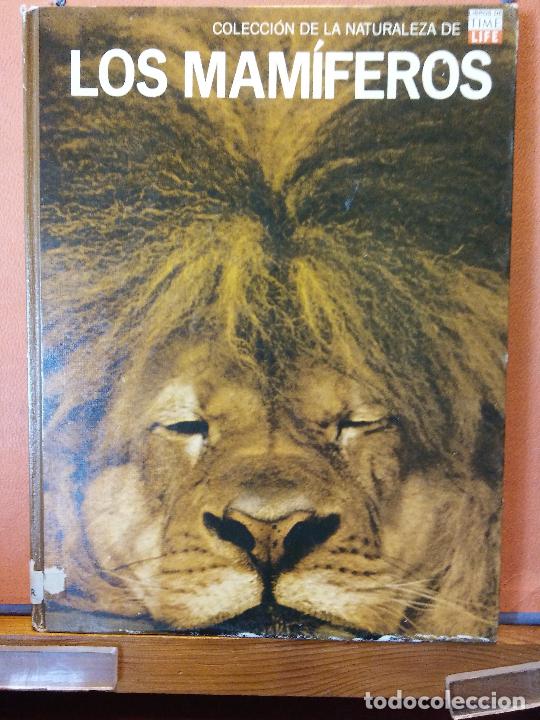 Libros de segunda mano: LOS MAMIFEROS. ARCHIE CARR. EDITADO POR OFFSET MULTICOLOR, S.A. - Foto 1