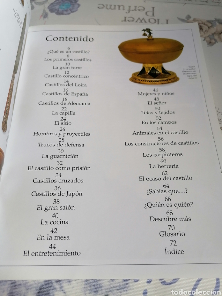 Libros de segunda mano: LIBRO SOBRE CASTILLOS VIVA IMAGEN. CHRISTOPHER GRAVETT - Foto 6