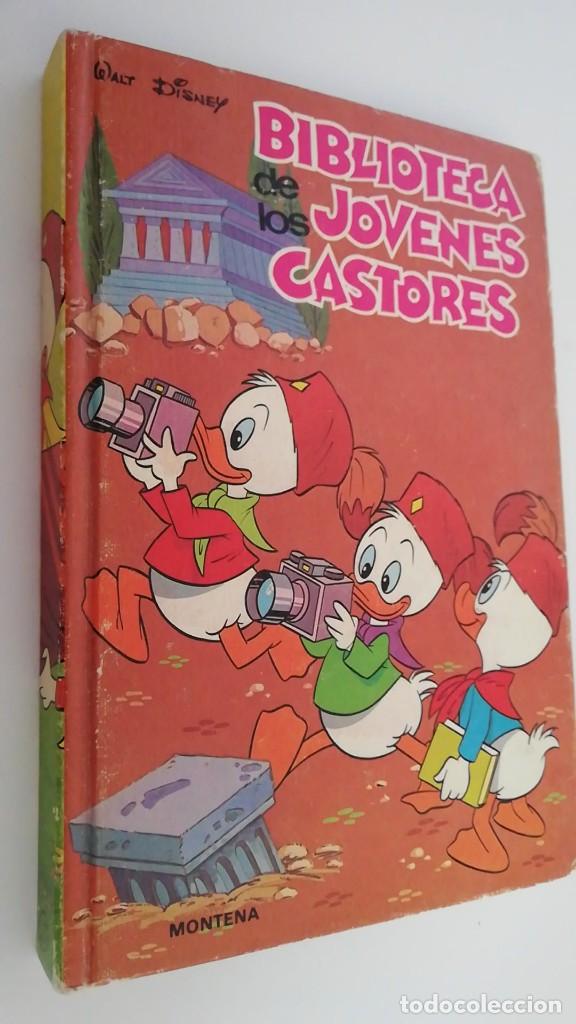 Libros de segunda mano: Biblioteca de los j&oacute;venes castores. N&ordm;17. A&ntilde;o 1984 - Foto 1