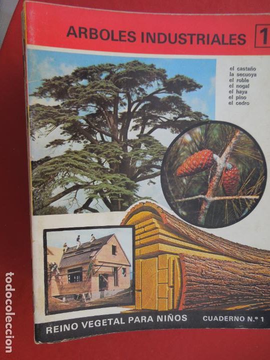 Livres d'occasion: REINO VEGETAL PARA NI&Ntilde;OS CUADERNO N&ordm; 1 - ARBOLES INDUSTRIALES -1 - SOPENA 1969-CASTA&Ntilde;O , SECUOYA ETC