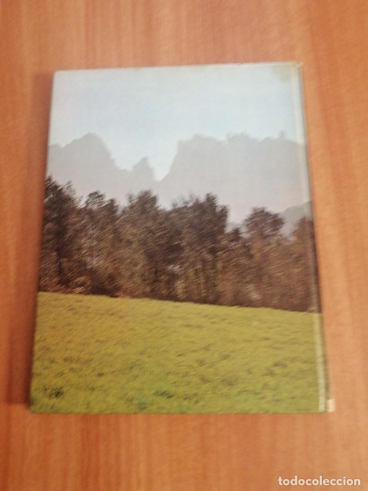 Libros de segunda mano: IMATGES DE CATALUNYA I ILLES BALEARS - Foto 2