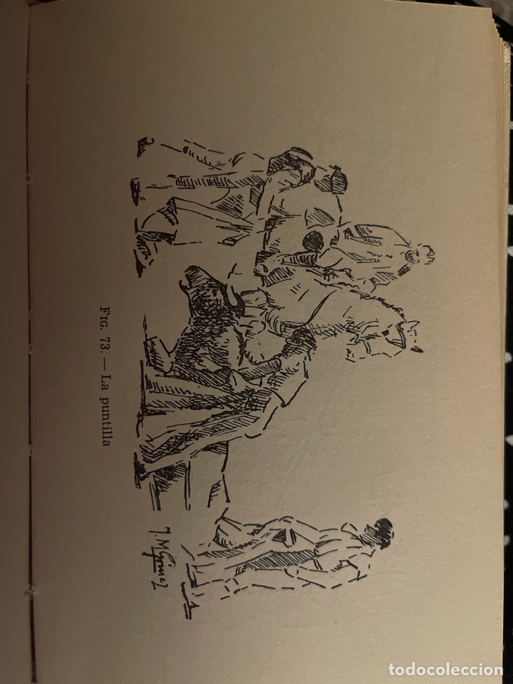 Libros de segunda mano: Los toros. Jos&eacute; Mart&iacute;nez Salvatierra - Foto 5