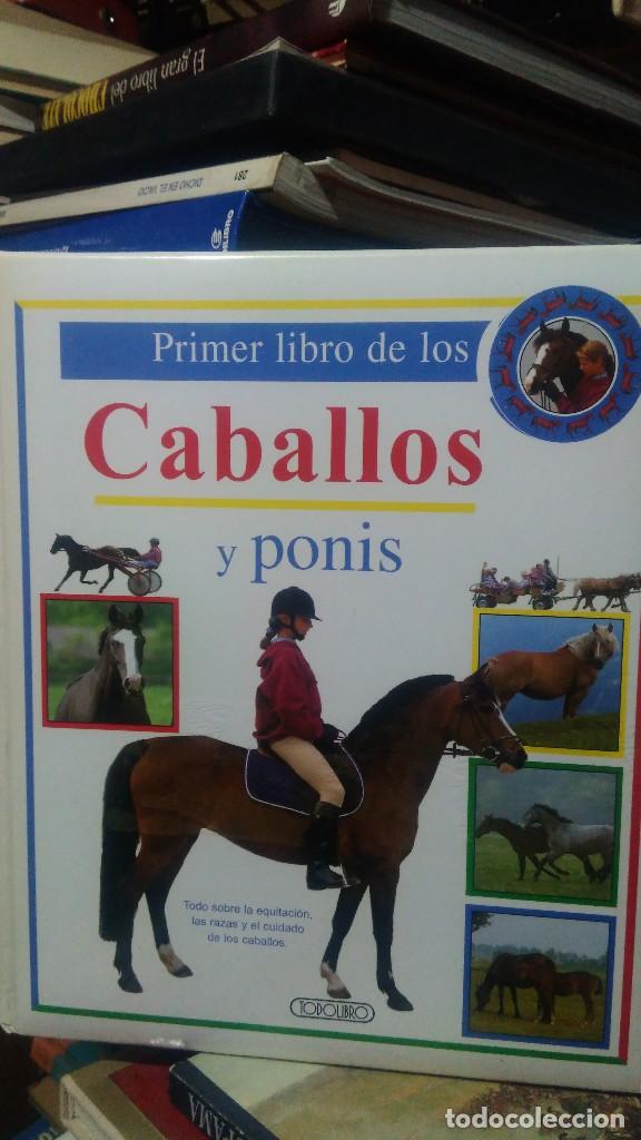 Libros de segunda mano: PRIMER LIBRO DE LOS CABALLOS Y PONIS, ED. TODOLIBRO - Foto 1