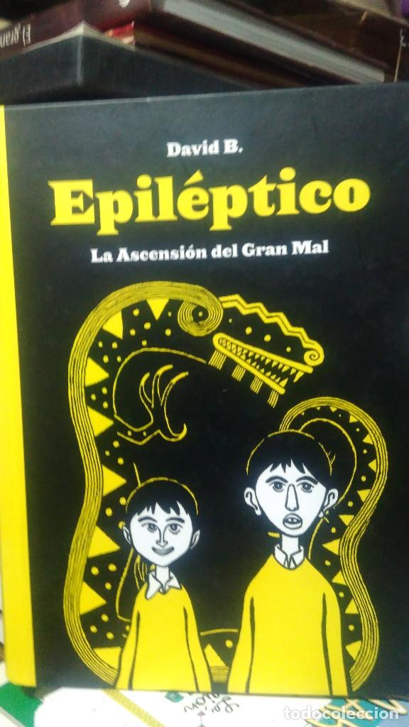 Libros de segunda mano: EPIL&Eacute;PTICO, DAVID B. ED. SINS ENTIDO - Foto 1