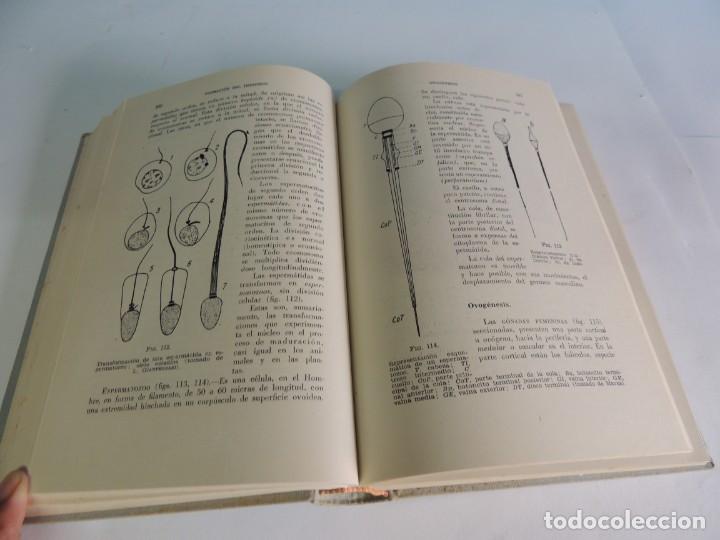 Libros de segunda mano: EL HOMBRE EN EL ESPACIO Y EN EL TIEMPO.-V MARCOZZI, S.J. - Foto 5