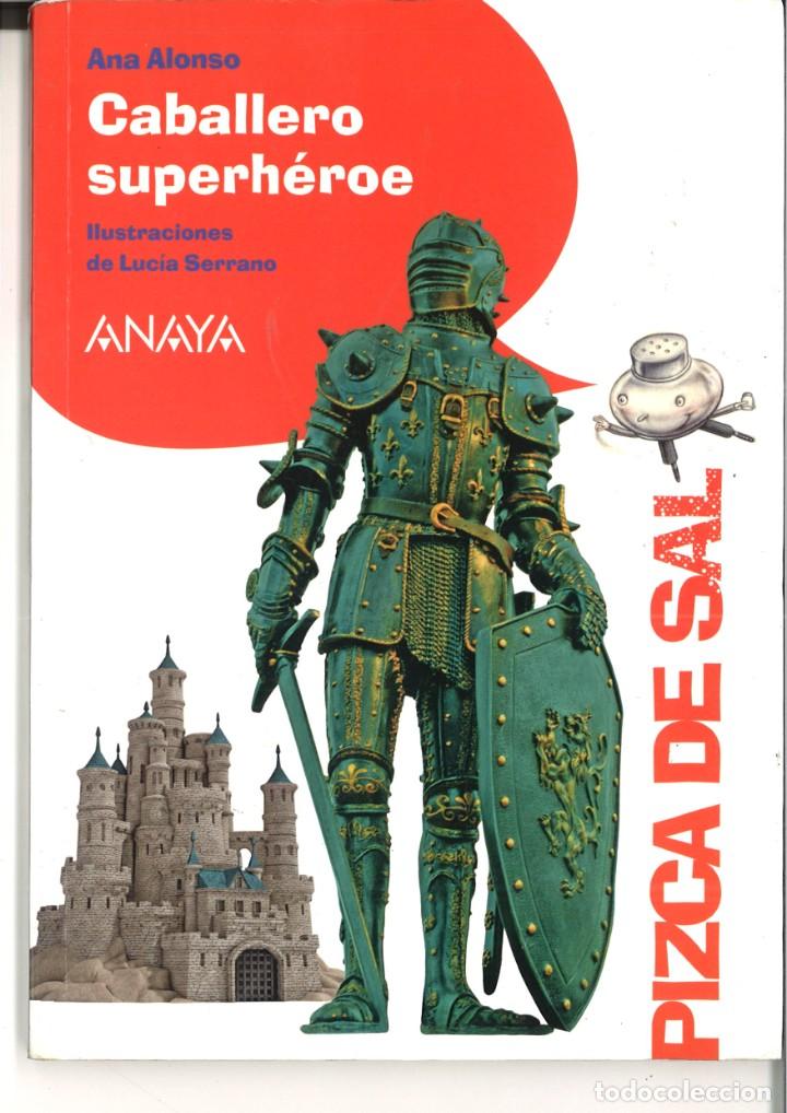 Libros de segunda mano: CABALLERO SUPERH&Eacute;ROE. Ana Alonso - Foto 1