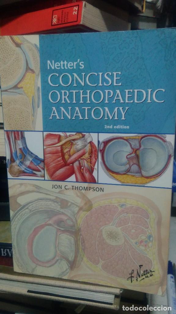 Libros de segunda mano: CONCISE ORTHOPAEDIC ANATOMY, NETTER&acute;S, JON C. THOMSON, ED. SAUNDERS - Foto 1