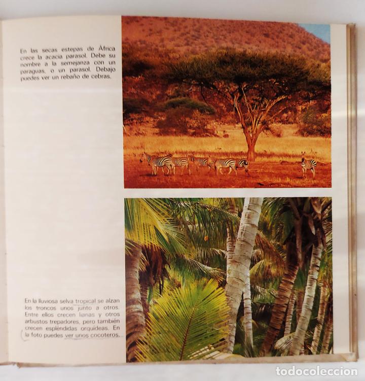 Libros de segunda mano: &Aacute;rboles, los | Gohl, Ronald | Ediciones Toray 1982 - Foto 3