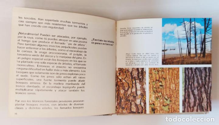Libros de segunda mano: &Aacute;rboles, los | Gohl, Ronald | Ediciones Toray 1982 - Foto 4