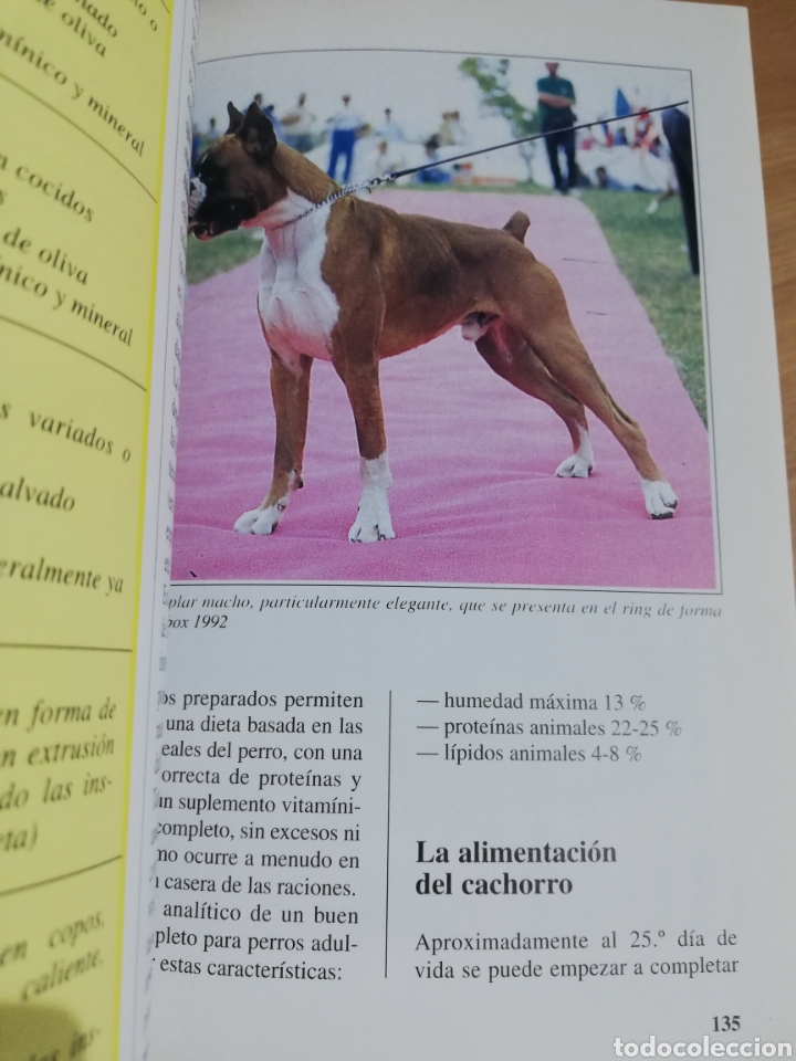Libros de segunda mano: EL BOXER (BIANCA FROSOLINI) - Foto 4