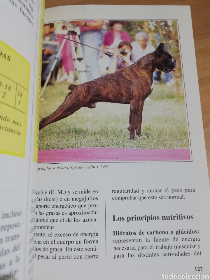 Libros de segunda mano: EL BOXER (BIANCA FROSOLINI) - Foto 6