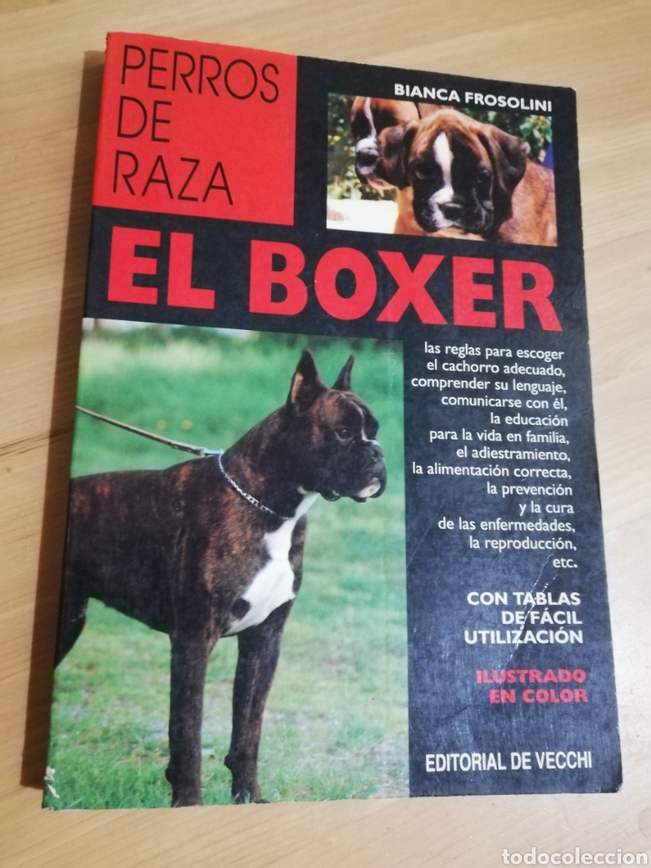 Libros de segunda mano: EL BOXER (BIANCA FROSOLINI) - Foto 1