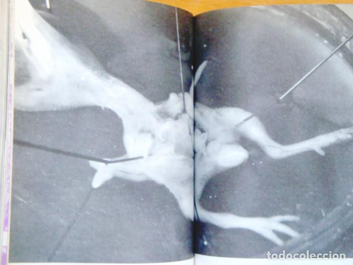 Libros de segunda mano: 1969 - HERBERT: EL FR&Iacute;O - Foto 3
