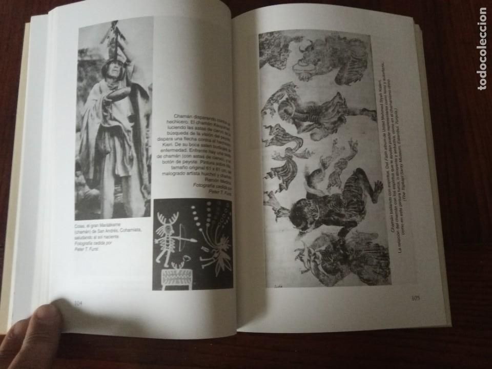 Libros de segunda mano: LA PUERTA DEL CHAMAN .-STEPHEN LARSEN. - Foto 3