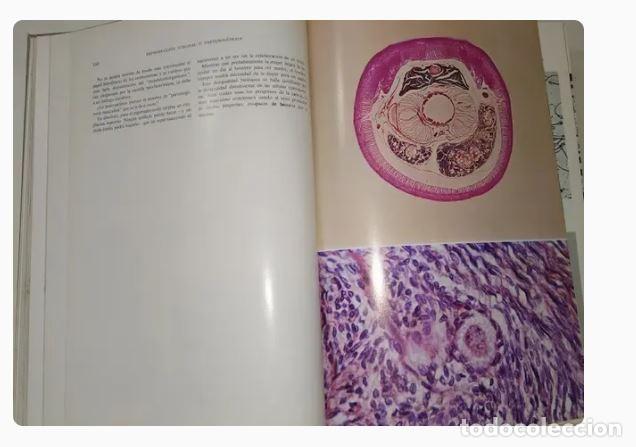 Libros de segunda mano: LA VIDA - J.ROSTAND, A. T&Eacute;TRY - Foto 6