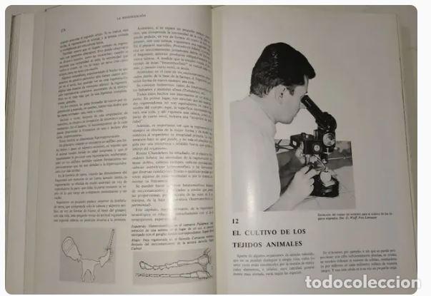 Libros de segunda mano: LA VIDA - J.ROSTAND, A. T&Eacute;TRY - Foto 8
