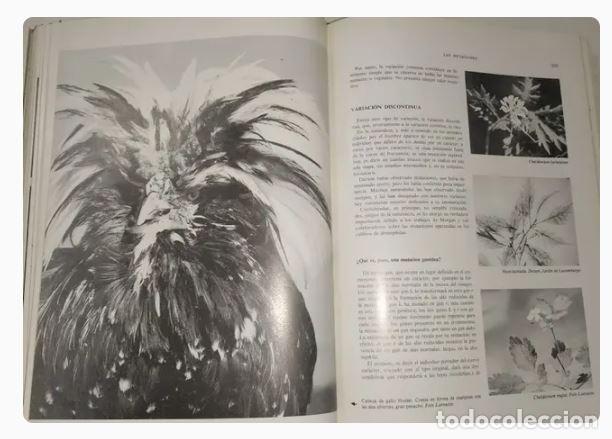 Libros de segunda mano: LA VIDA - J.ROSTAND, A. T&Eacute;TRY - Foto 9