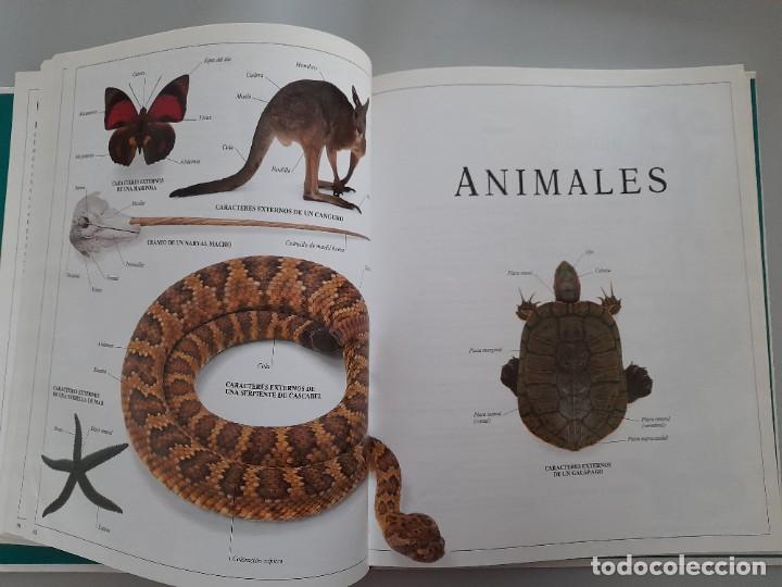 Libros de segunda mano: ENCICLOPEDIA VISUAL DE LOS SERES VIVOS DEL PAIS/ALTEA - Foto 4