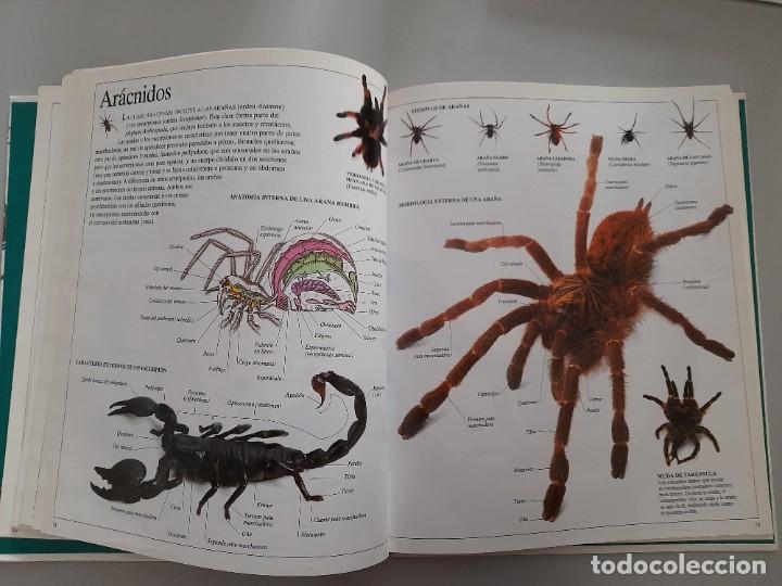 Libros de segunda mano: ENCICLOPEDIA VISUAL DE LOS SERES VIVOS DEL PAIS/ALTEA - Foto 5