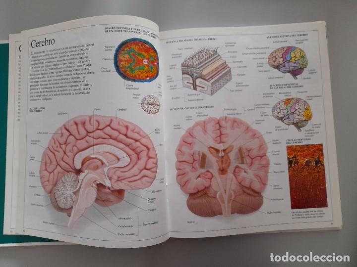 Libros de segunda mano: ENCICLOPEDIA VISUAL DE LOS SERES VIVOS DEL PAIS/ALTEA - Foto 6