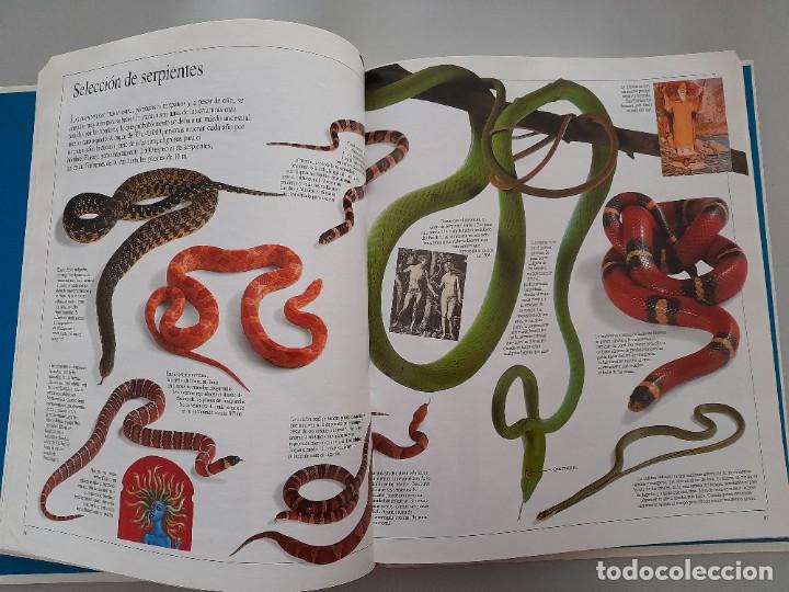 Libros de segunda mano: ENCICLOPEDIA VISUAL DE LOS SERES VIVOS DEL PAIS/ALTEA - Foto 7