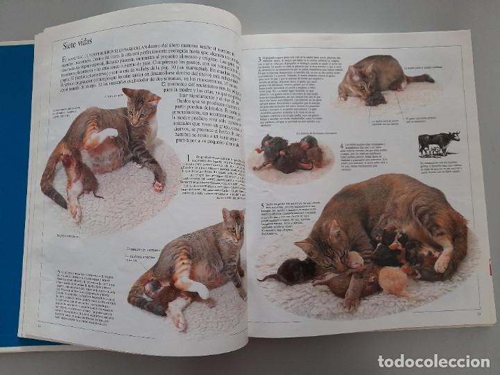 Libros de segunda mano: ENCICLOPEDIA VISUAL DE LOS SERES VIVOS DEL PAIS/ALTEA - Foto 8
