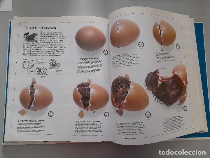 Libros de segunda mano: ENCICLOPEDIA VISUAL DE LOS SERES VIVOS DEL PAIS/ALTEA - Foto 9