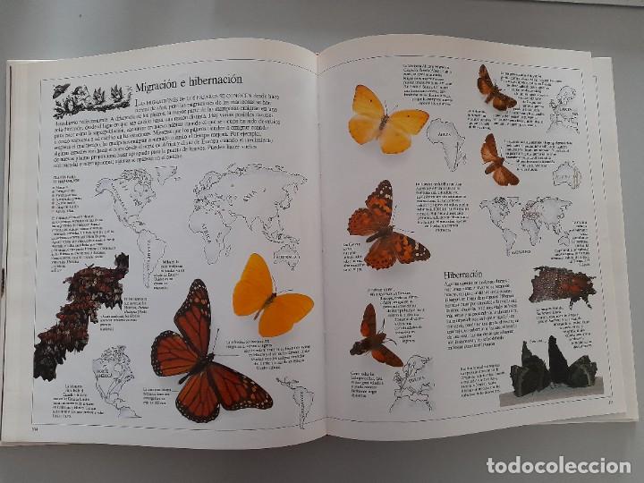 Libros de segunda mano: ENCICLOPEDIA VISUAL DE LOS SERES VIVOS DEL PAIS/ALTEA - Foto 10