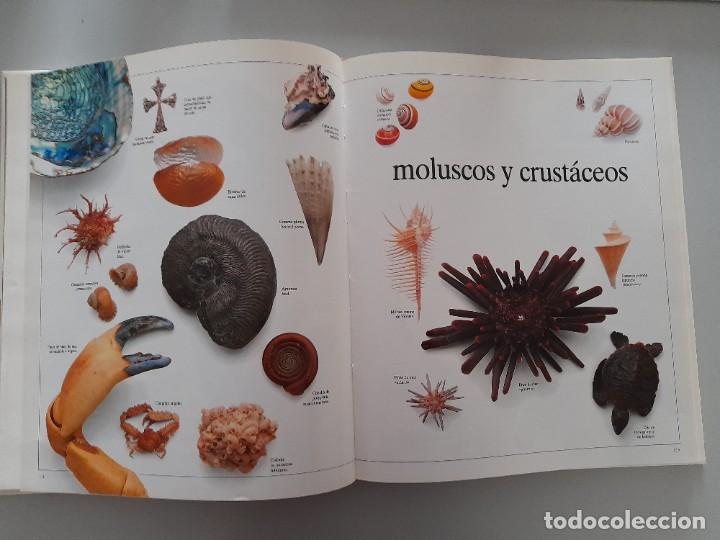 Libros de segunda mano: ENCICLOPEDIA VISUAL DE LOS SERES VIVOS DEL PAIS/ALTEA - Foto 11