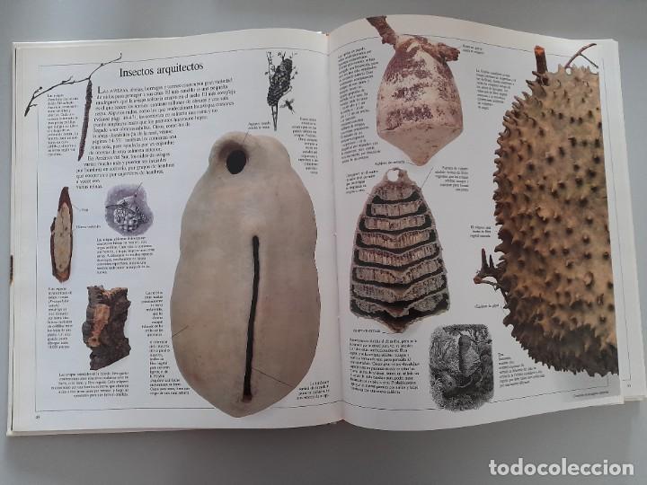 Libros de segunda mano: ENCICLOPEDIA VISUAL DE LOS SERES VIVOS DEL PAIS/ALTEA - Foto 12