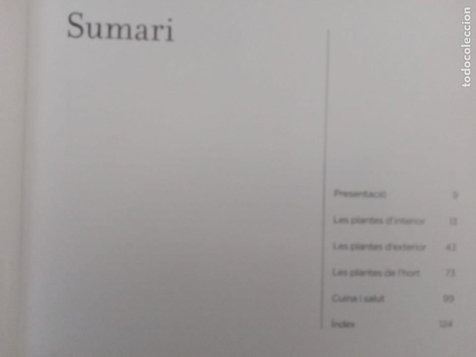 Libros de segunda mano: CONEIXER LES NOSTRES PLANTES. EDICIONS 62 - Foto 2