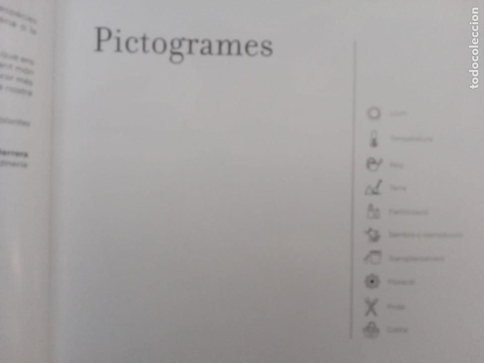 Libros de segunda mano: CONEIXER LES NOSTRES PLANTES. EDICIONS 62 - Foto 3
