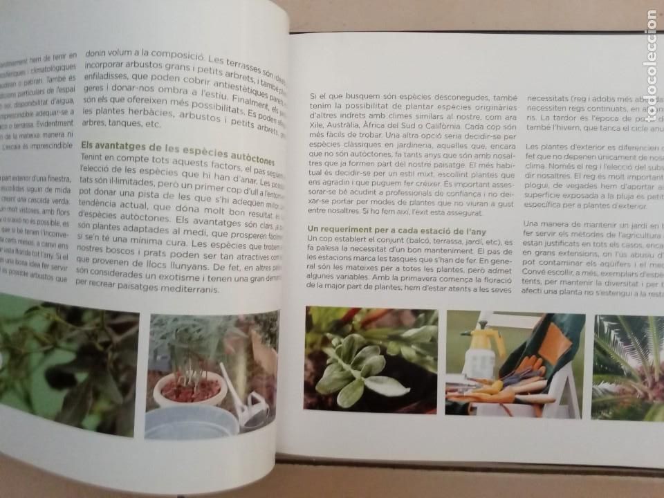 Libros de segunda mano: CONEIXER LES NOSTRES PLANTES. EDICIONS 62 - Foto 5