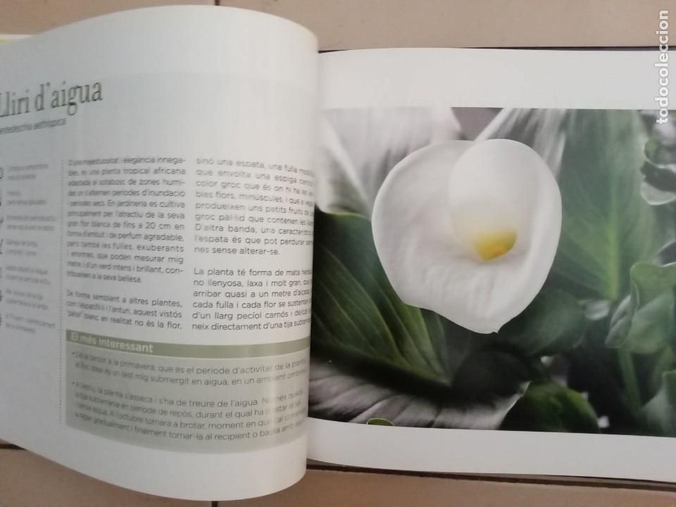 Libros de segunda mano: CONEIXER LES NOSTRES PLANTES. EDICIONS 62 - Foto 6