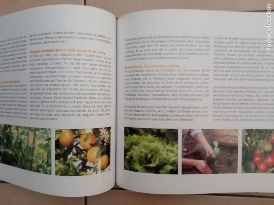Libros de segunda mano: CONEIXER LES NOSTRES PLANTES. EDICIONS 62 - Foto 9