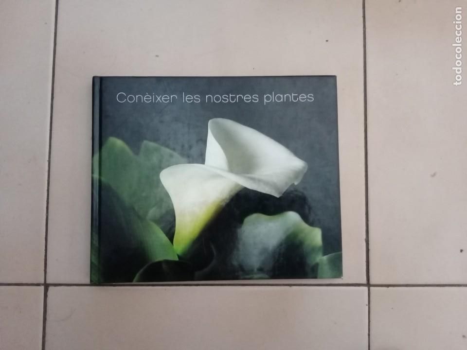 Libros de segunda mano: CONEIXER LES NOSTRES PLANTES. EDICIONS 62 - Foto 1
