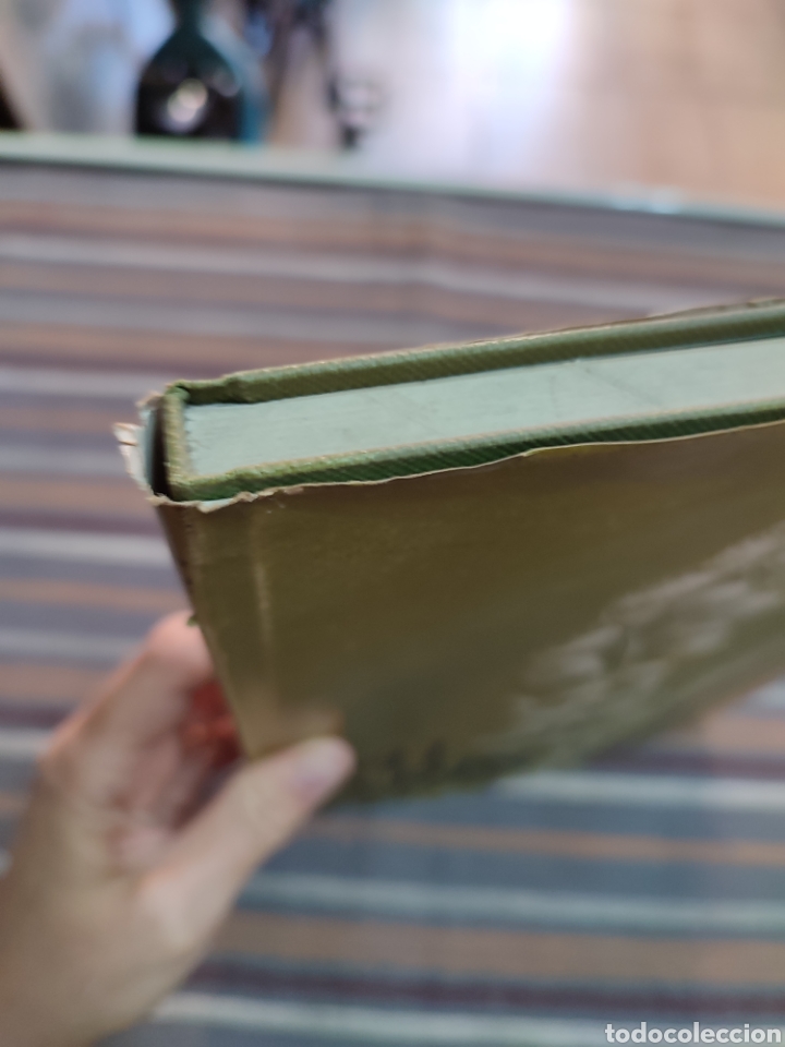 Libros de segunda mano: Mi &aacute;rbol. Luis Borobio - Foto 2