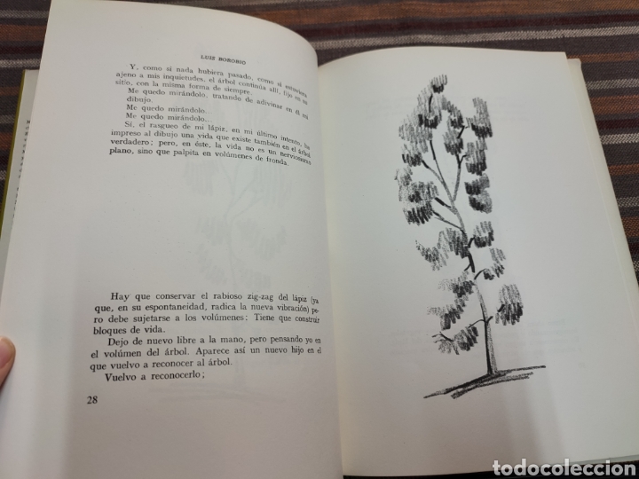 Libros de segunda mano: Mi &aacute;rbol. Luis Borobio - Foto 7