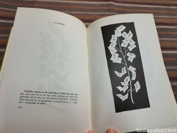Libros de segunda mano: Mi &aacute;rbol. Luis Borobio - Foto 11