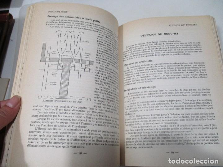 Libros de segunda mano: LA P&Ecirc;CHE (franc&eacute;s) W9944 - Foto 5