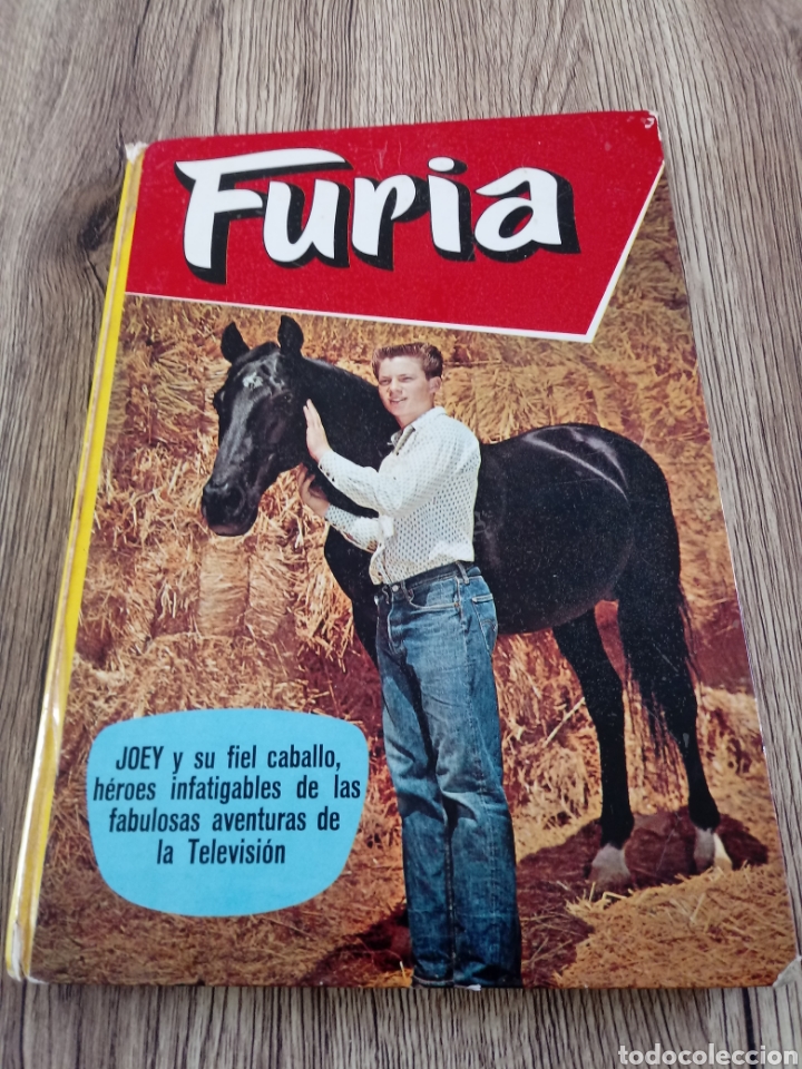Libros de segunda mano: Furia.Ediciones Laida 1973 - Foto 1