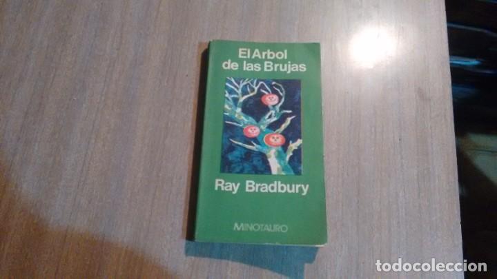 Libros de segunda mano: RAY BRADBURY - EL ARBOL DE LAS BRUJAS - Foto 1