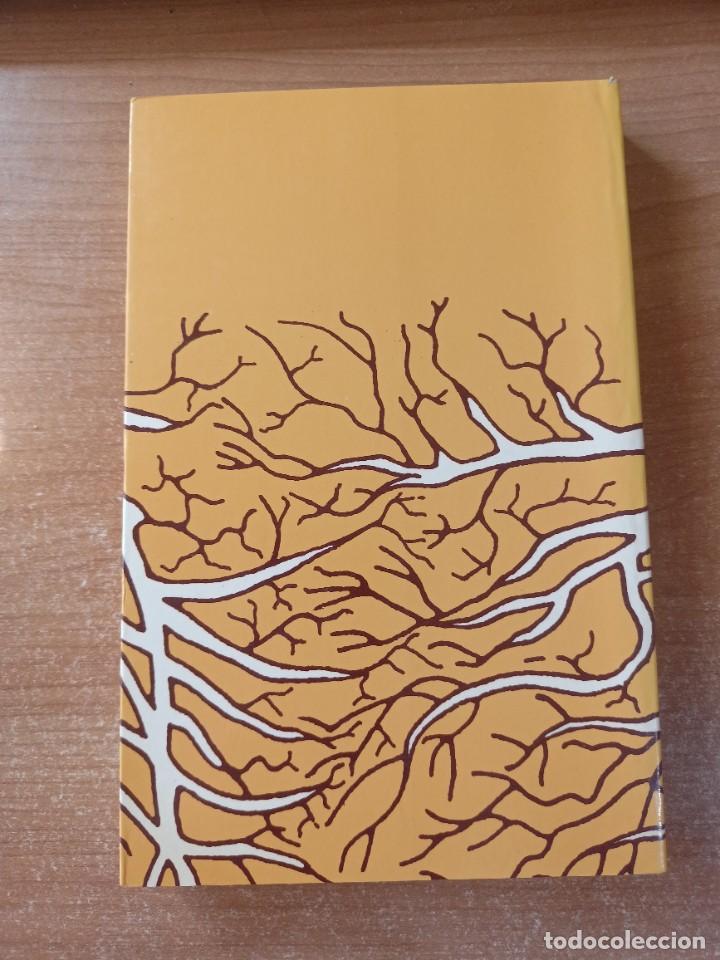 Libros de segunda mano: Arrels igualadines - Jaume Ferrer i Pi&ntilde;ol - en catal&agrave; - Foto 2