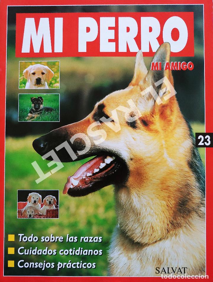 Libros de segunda mano: MI PERRO MI AMIGO - FASCICULO 23 -EDICIONES SALVAT - Foto 1