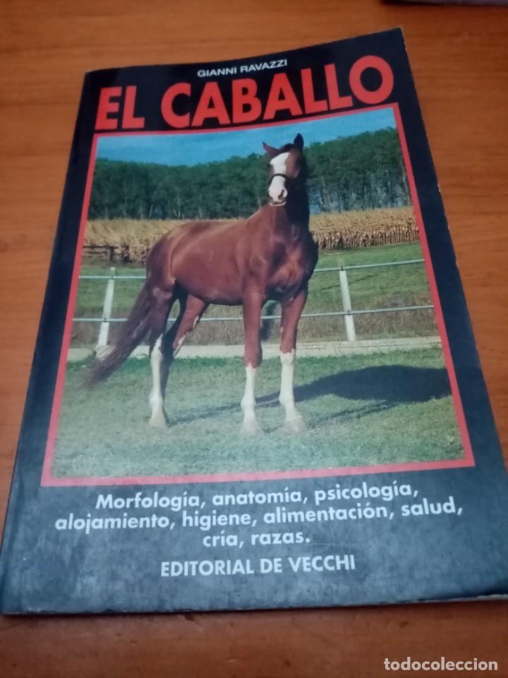Libros de segunda mano: EL CABALLO. GIANNI RAVAZZI. C12L - Foto 1