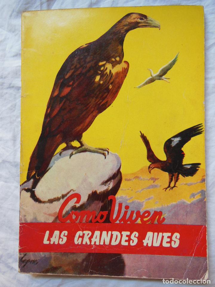 Libros de segunda mano: COMO VIVEN LAS GRANDES AVES. ANTONIO GUARDIOLA. - Foto 1
