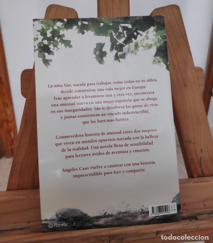 Libros de segunda mano: Contra el viento, &Aacute;ngeles Caso, Booket - Foto 3