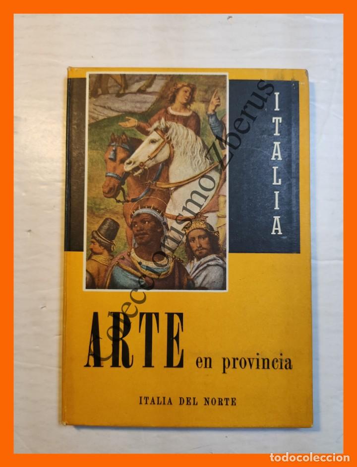 Libros de segunda mano: ARTE en Provincia. Vol. I. Italia del Norte