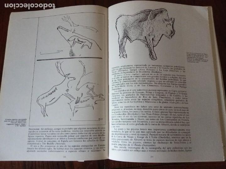Libros de segunda mano: Manual de Historia Universal .Prehistoria.-VV.AA. - Foto 6